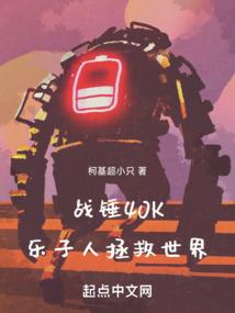 17年的爱恨