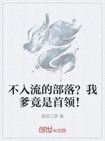 梦续红楼之盗玉
