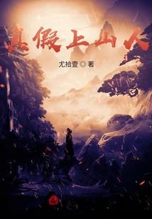 霸道总裁的无良仙妻