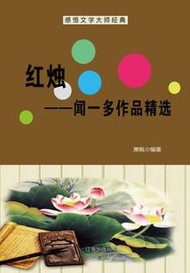 某歼星舰的提督之路