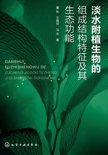 代码王