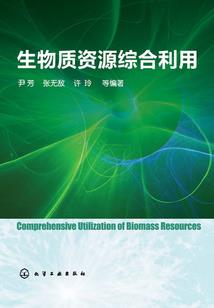 罪恶之歌