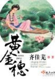 清氏总裁与妻