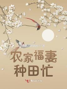 双生情缘未了