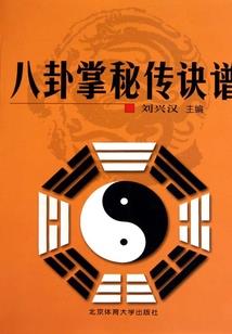 长生武道：看人练武，我就变强