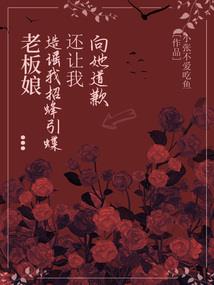 龙灵决