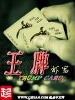 大佬的女人又出逃了