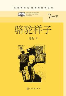火影之世