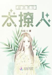诸领乱世