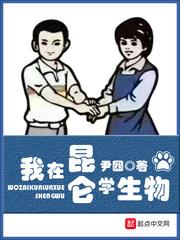 凌仙传奇