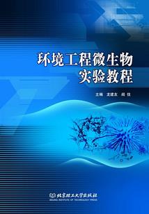 鬼谷之码甲