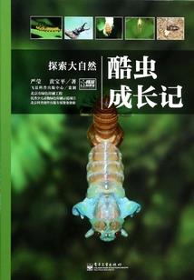 王者征程，末世荣耀