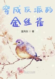 贵妃重生记
