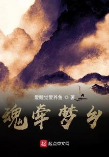 明日归途