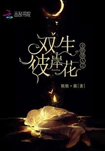 双面女佣兵穿越：绝代杀手王妃