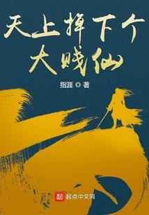 重生之弃后毒女