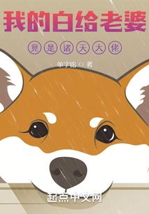 混沌函数