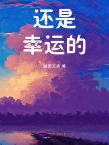 驾驷