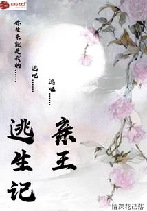 枫与倩的情愫