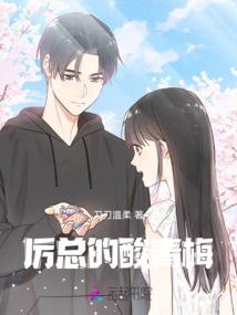 武穆风云