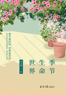 谜一样的公主