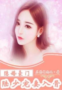 婧妃传
