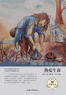 玉镯媒