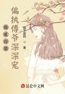 魔法剑士传
