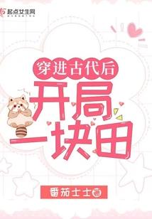 热血崛起之路