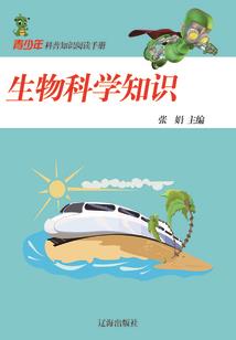 雀修成神