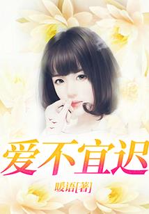 龙傲寰宇