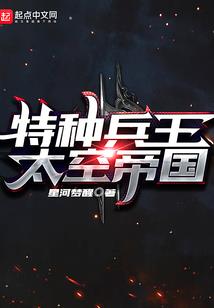 猫儿百般爱